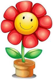 The flower is